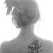 Sandra Connolly Photo 35