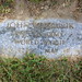 John Romanik Photo 13