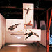 Rolando Gonzalez Photo 22