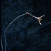 John Mcgillicuddy Photo 25