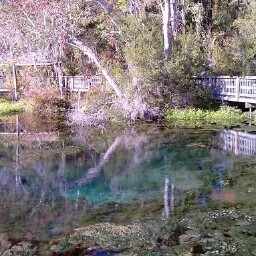 Eldon Smith Photo 11