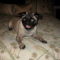 Harry Oliver Photo 7