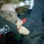 Amanda Papp Photo 16