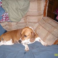 Steven Mickel Photo 2