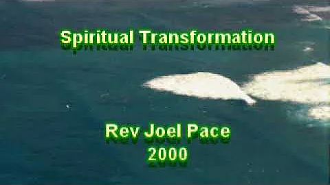 Joel Pace Photo 30