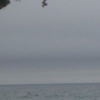 Thomas Brotherton Photo 2