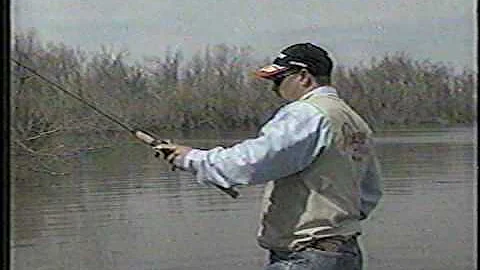 Mark Goines Photo 13