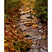 Kelly Bagwell Photo 36