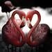 Siddharth Sharma Photo 37
