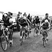 Dennis Tarr Photo 20