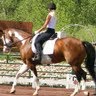 Fay Meyer Photo 9