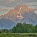 Thomas Mcnulty Photo 39