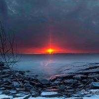 Ann Cavanaugh Photo 7