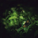 Hieu Le Photo 26