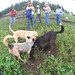 Stacey Moffitt Photo 33