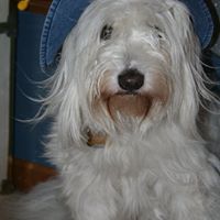 Linda Standley Photo 3