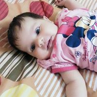 Shadi Taha Photo 1