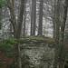 Ronald Birch Photo 32