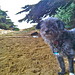 Louise Fort Photo 18
