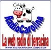 Enrico Cannella Photo 3