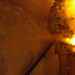 Tracy Wanner Photo 21