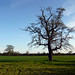 Leigh Fields Photo 29