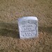 Robert Mcpherson Photo 43