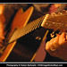 Joseph Berkowitz Photo 22