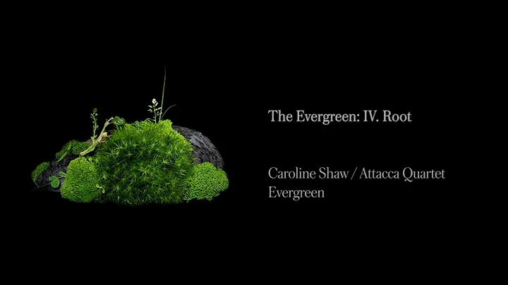 Carolyn Root Photo 25