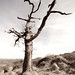 Robert Bleak Photo 16