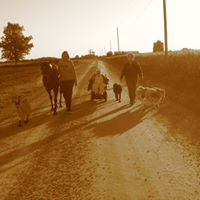 Linda Youngs Photo 8