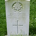 Andrew Foster Photo 44