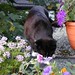 Billy Flowers Photo 42