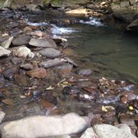Carrie Beatty Photo 6