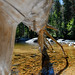 Adam Estes Photo 39