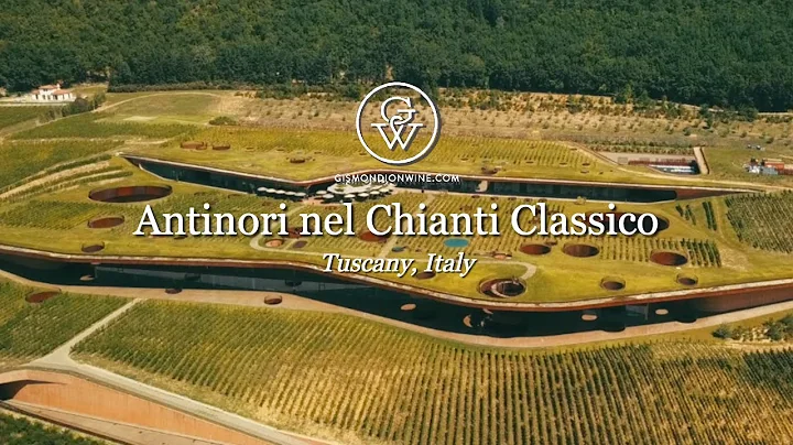 Paul Antinori Photo 13