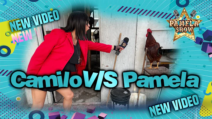 Pamela Gallo Photo 27