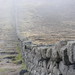 Donard Martin Photo 6