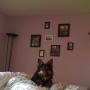 Nicholas Schafer Photo 21