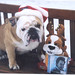 Terry Aikens Photo 16