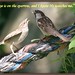 Beverly Sparrow Photo 14