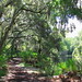Peggy Park Photo 27