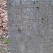Elizabeth Calloway Photo 38