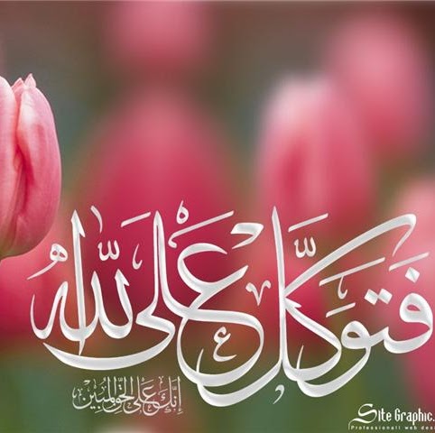 Mohammad Ahsan Photo 13