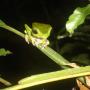 Stephanie Wiles Photo 20