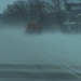 Amy Freund Photo 26
