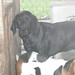 Ernie Hunt Photo 29