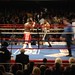 Anthony Cusumano Photo 36