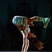 Daniel Pincus Photo 24