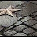Angela Ragione Photo 16